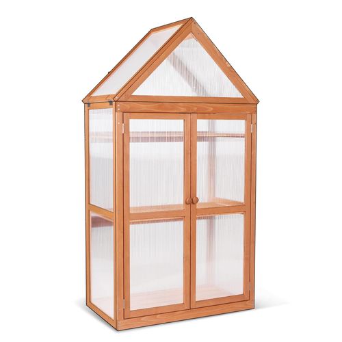 meilleur serre de jardin en bois