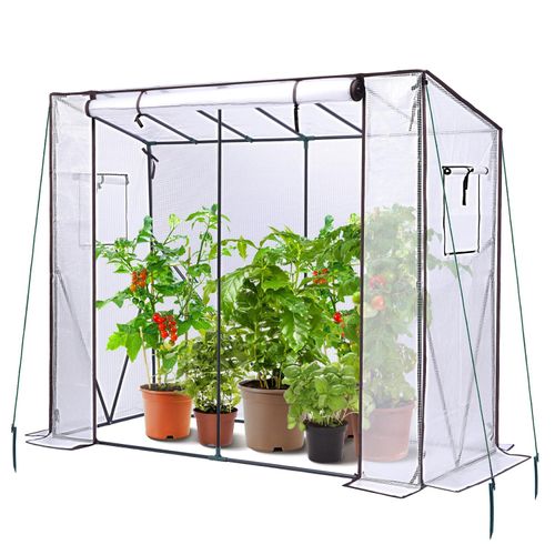 meilleur serre de jardin pour tomates
