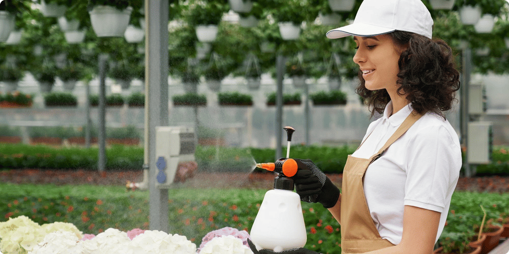 Comprendre les besoins en eau des plantes